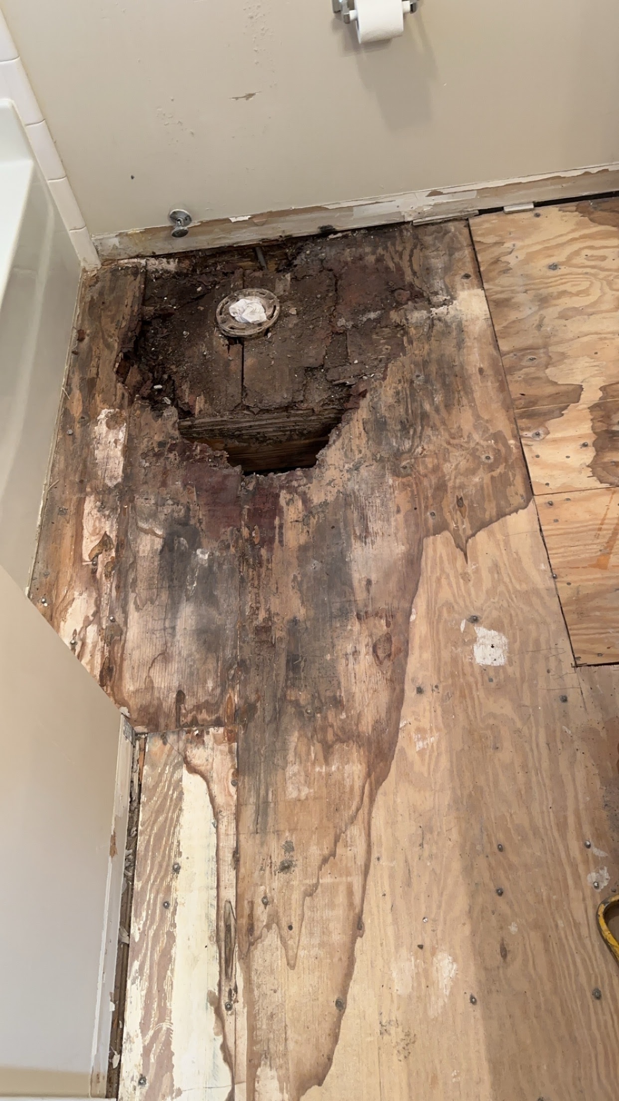 Bathroom Floor Repair project