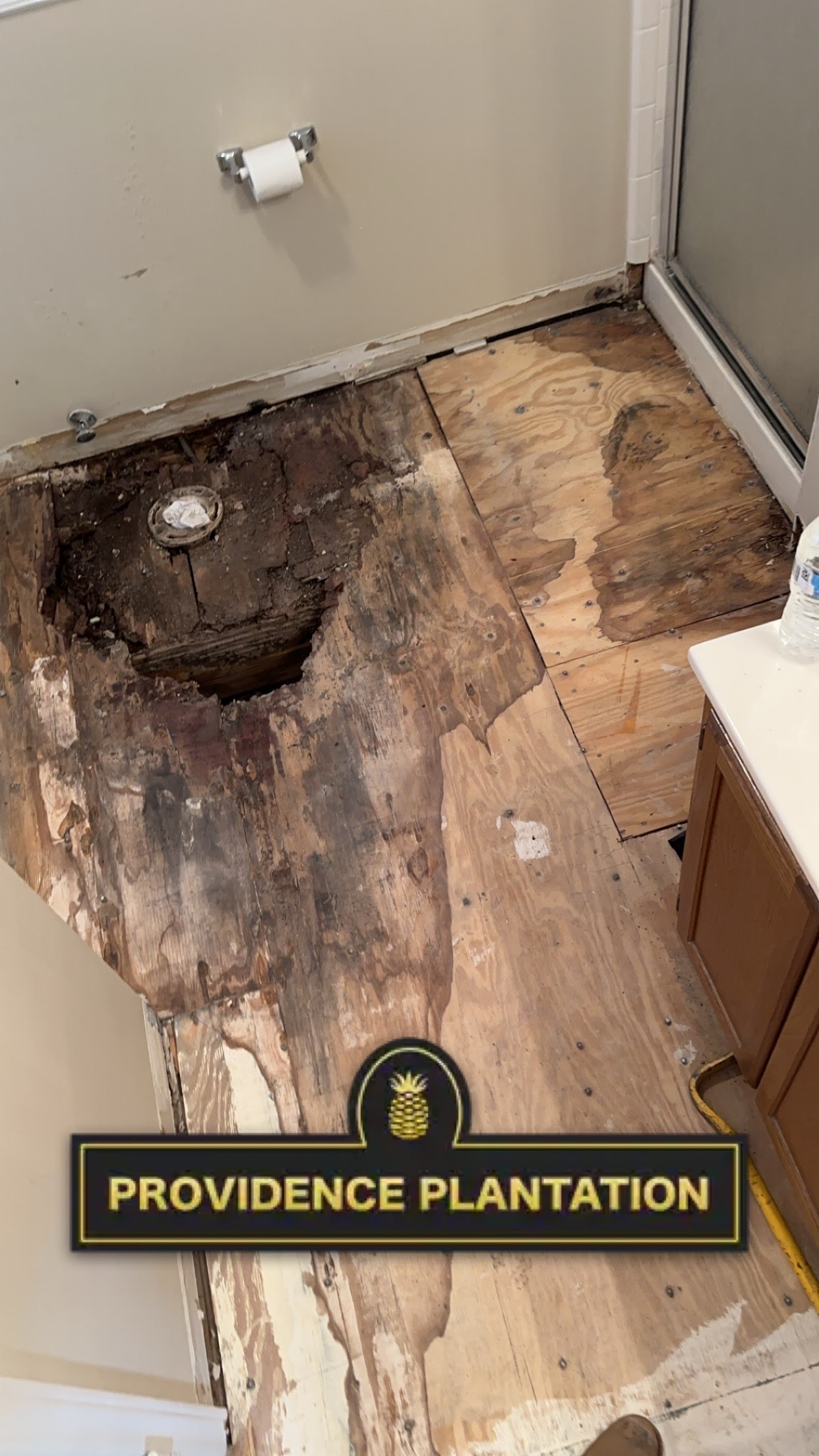 Bathroom Floor Repair project
