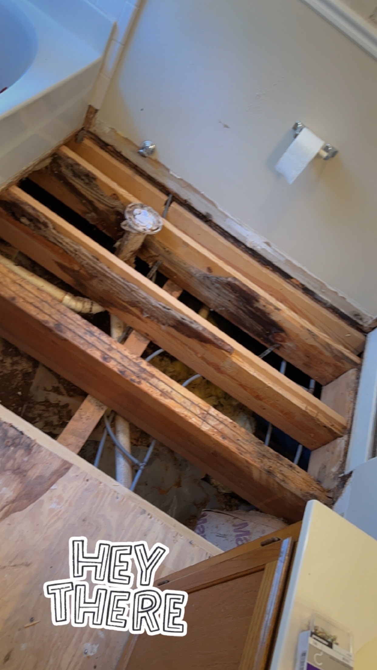 Bathroom Floor Repair project