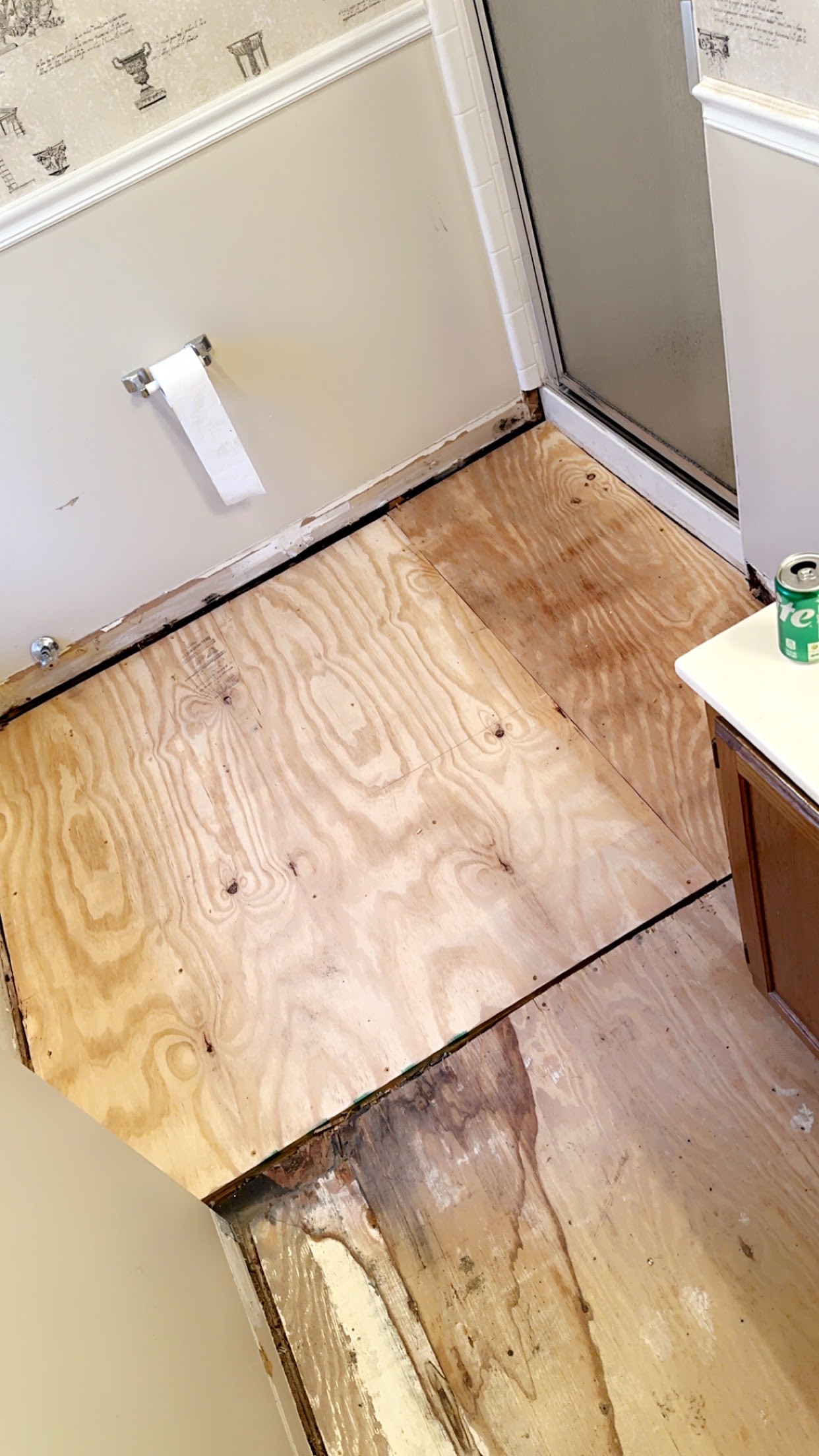 Bathroom Floor Repair project