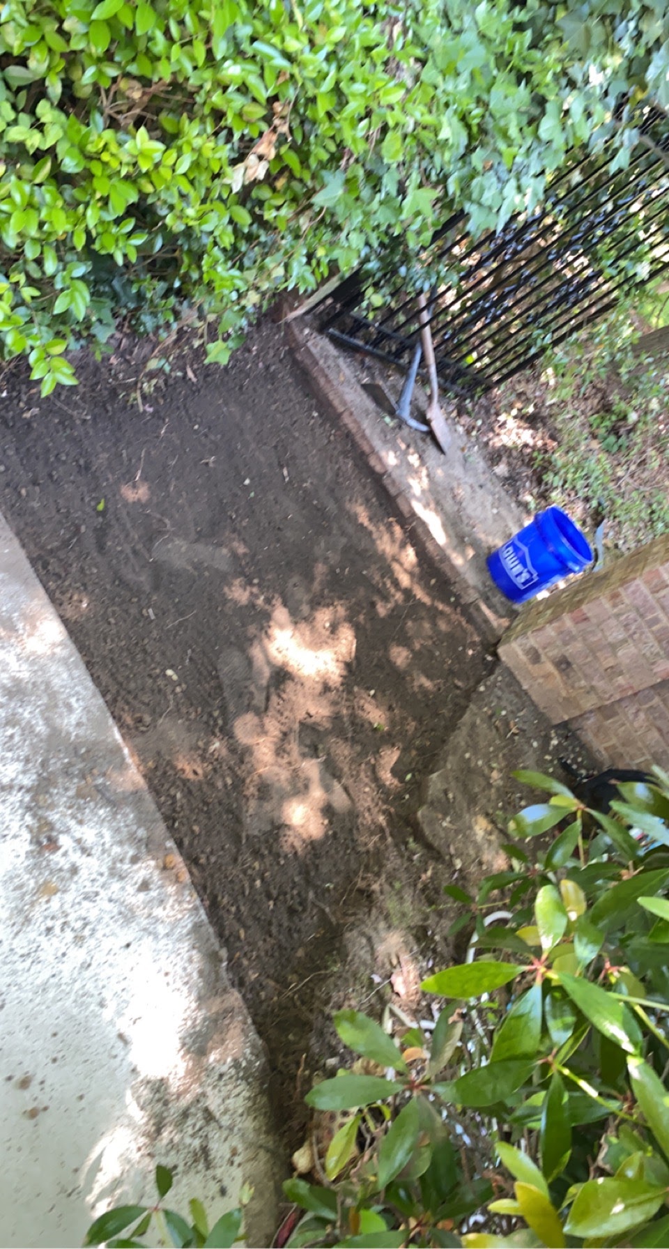 Brick Paver Repair project