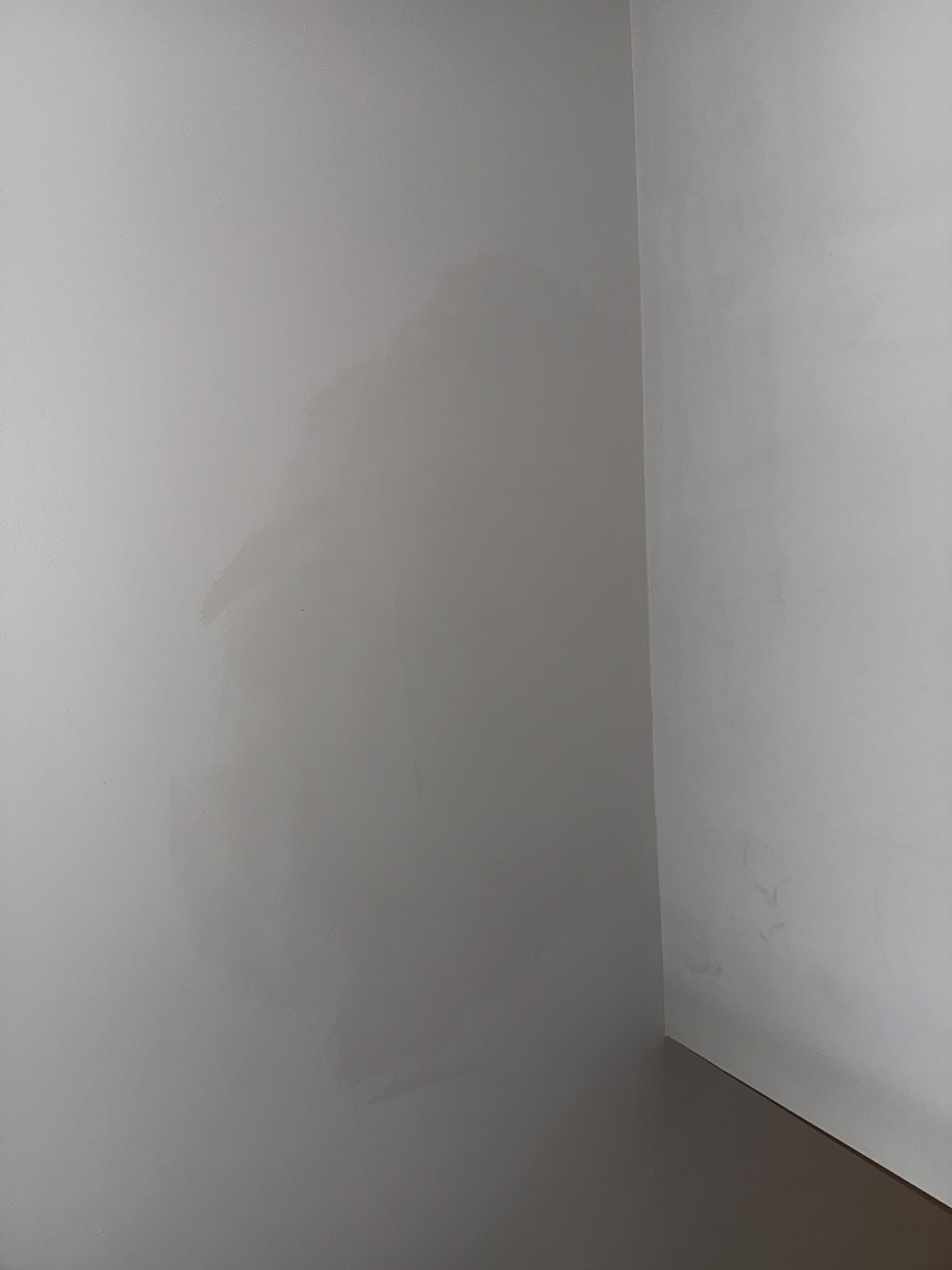 Drywall Repair project