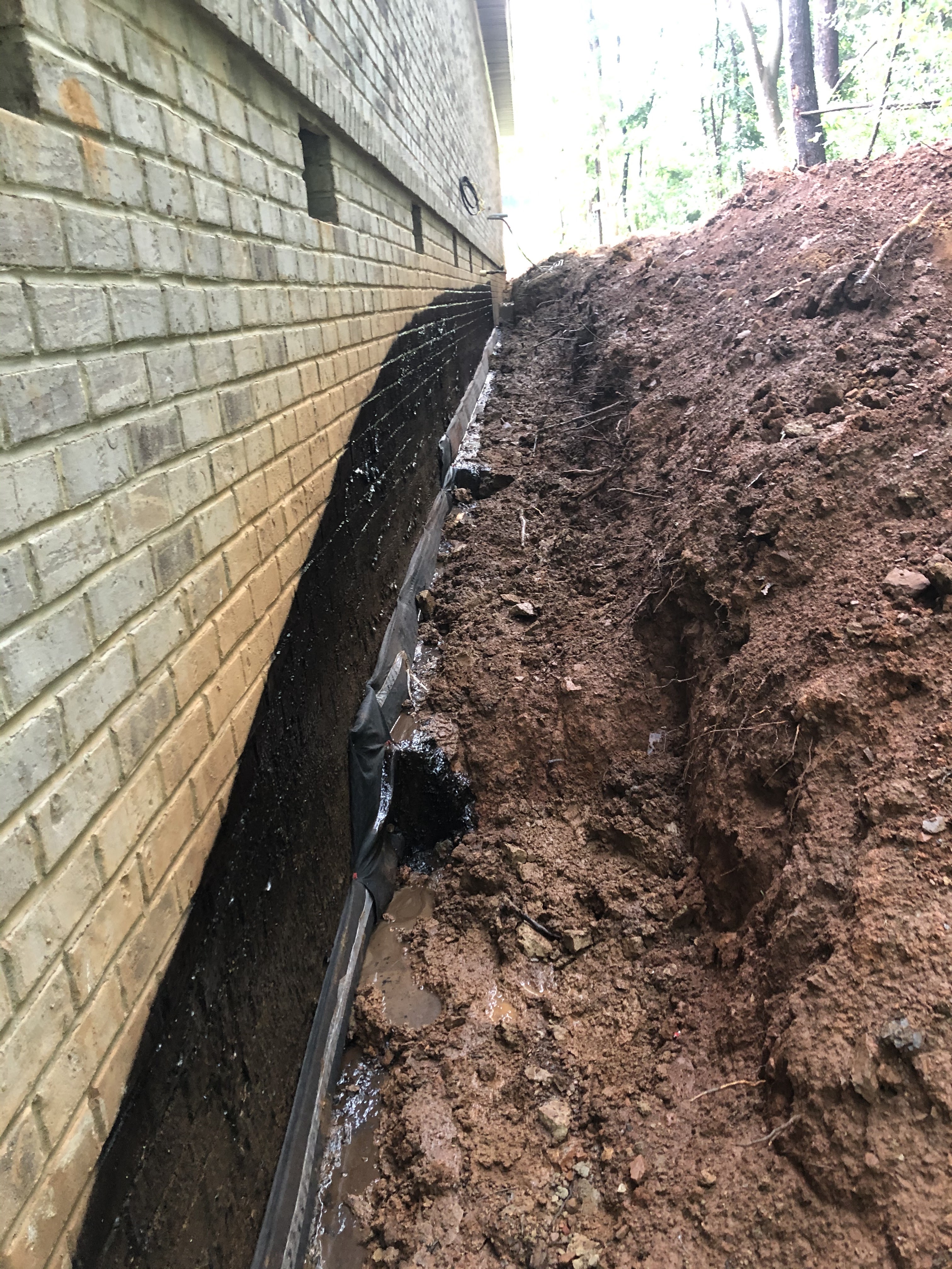 Exterior Damp Proofing project
