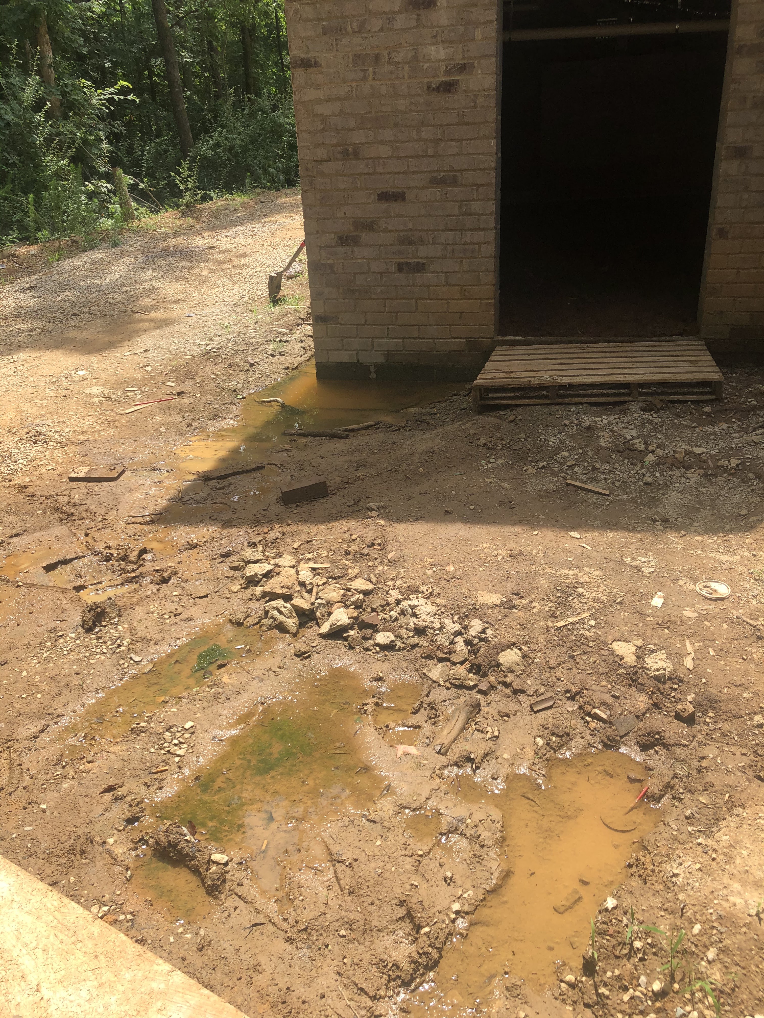 Exterior Damp Proofing project