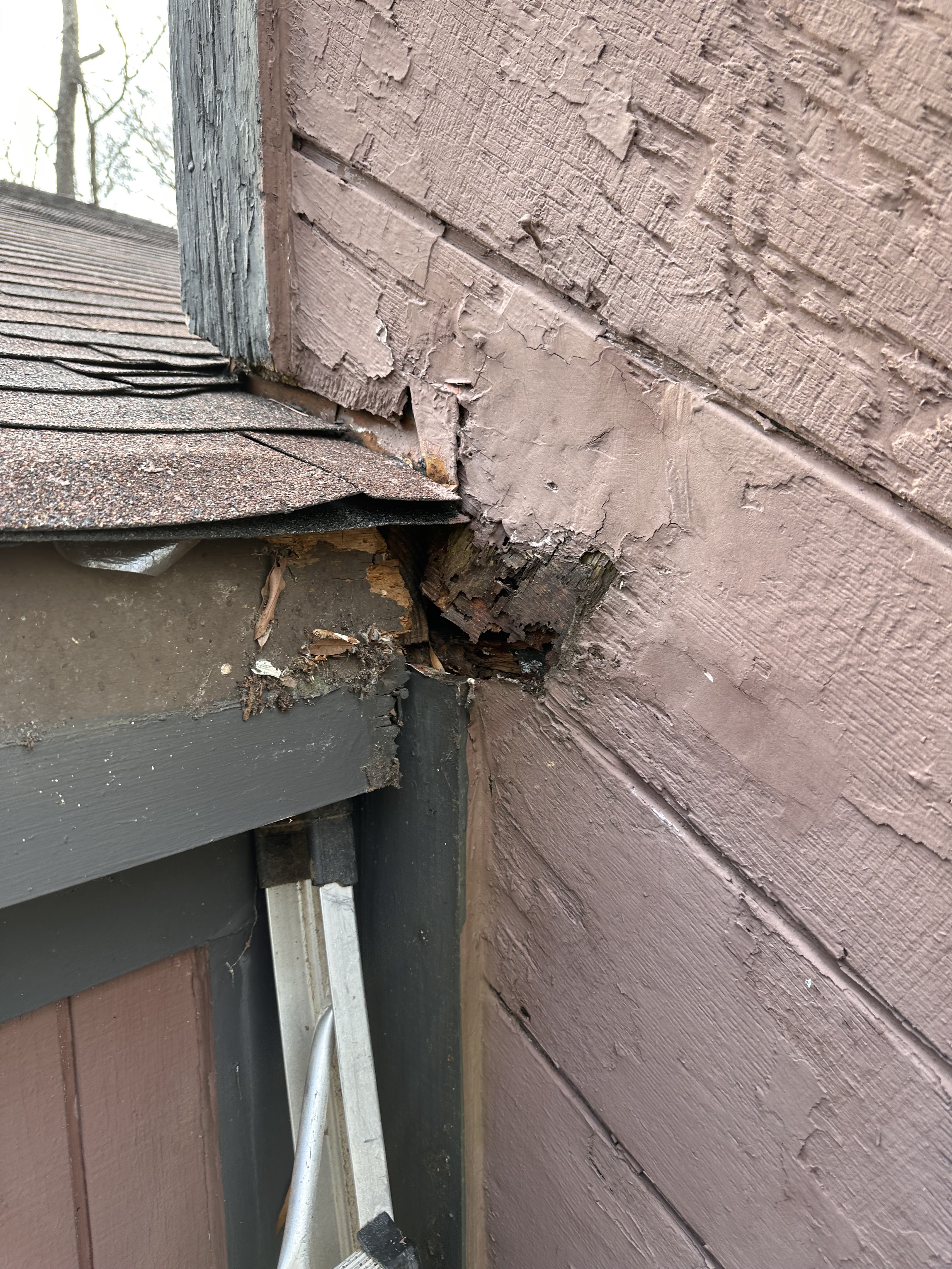 Exteriorwood Siding Repair project