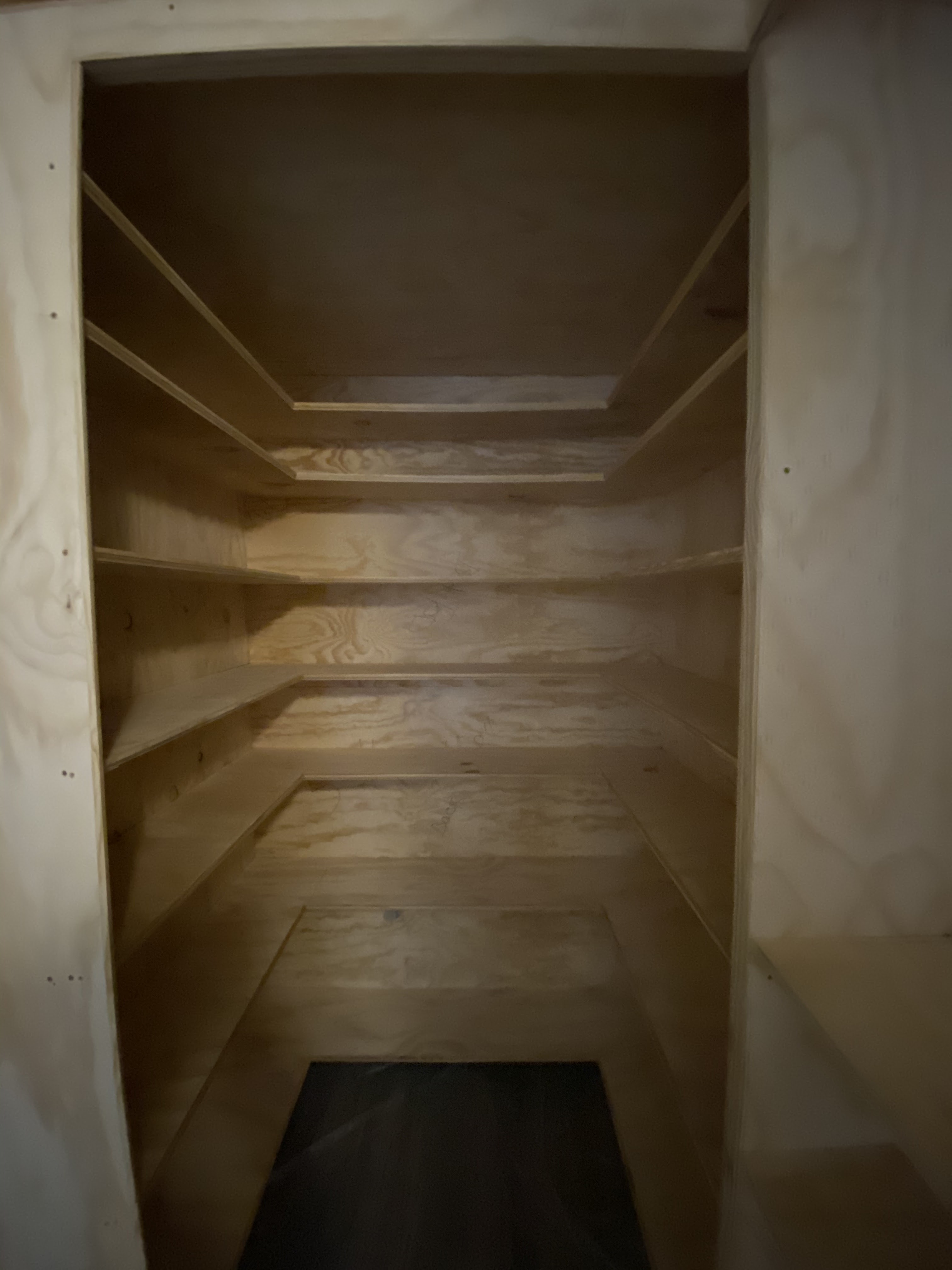 Peachtree A T L Custom Closet project