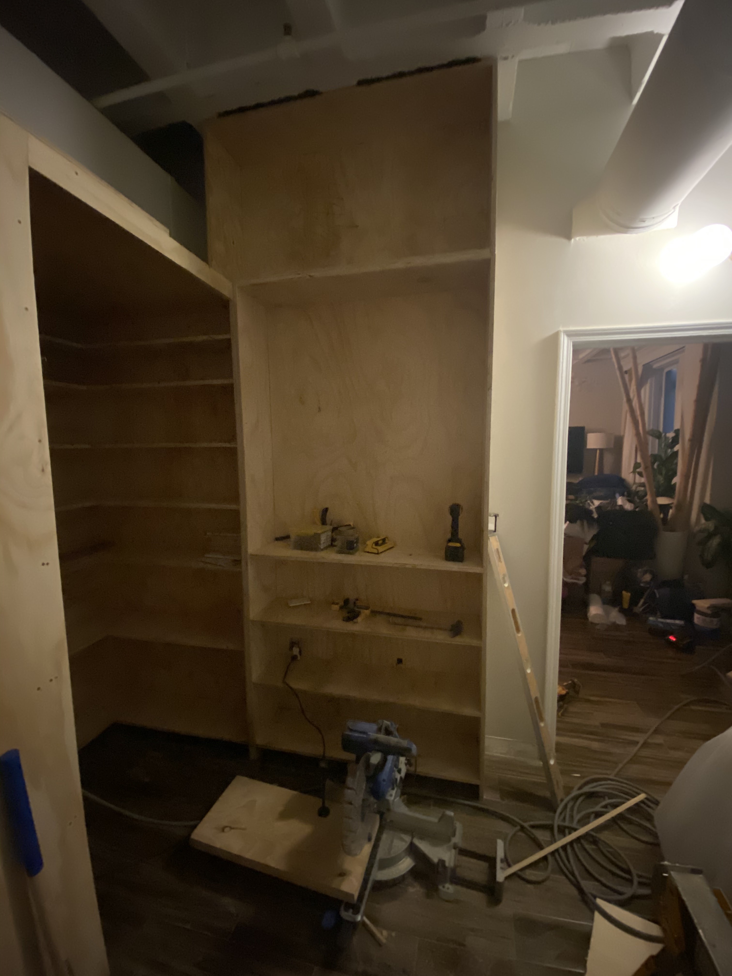 Peachtree A T L Custom Closet project