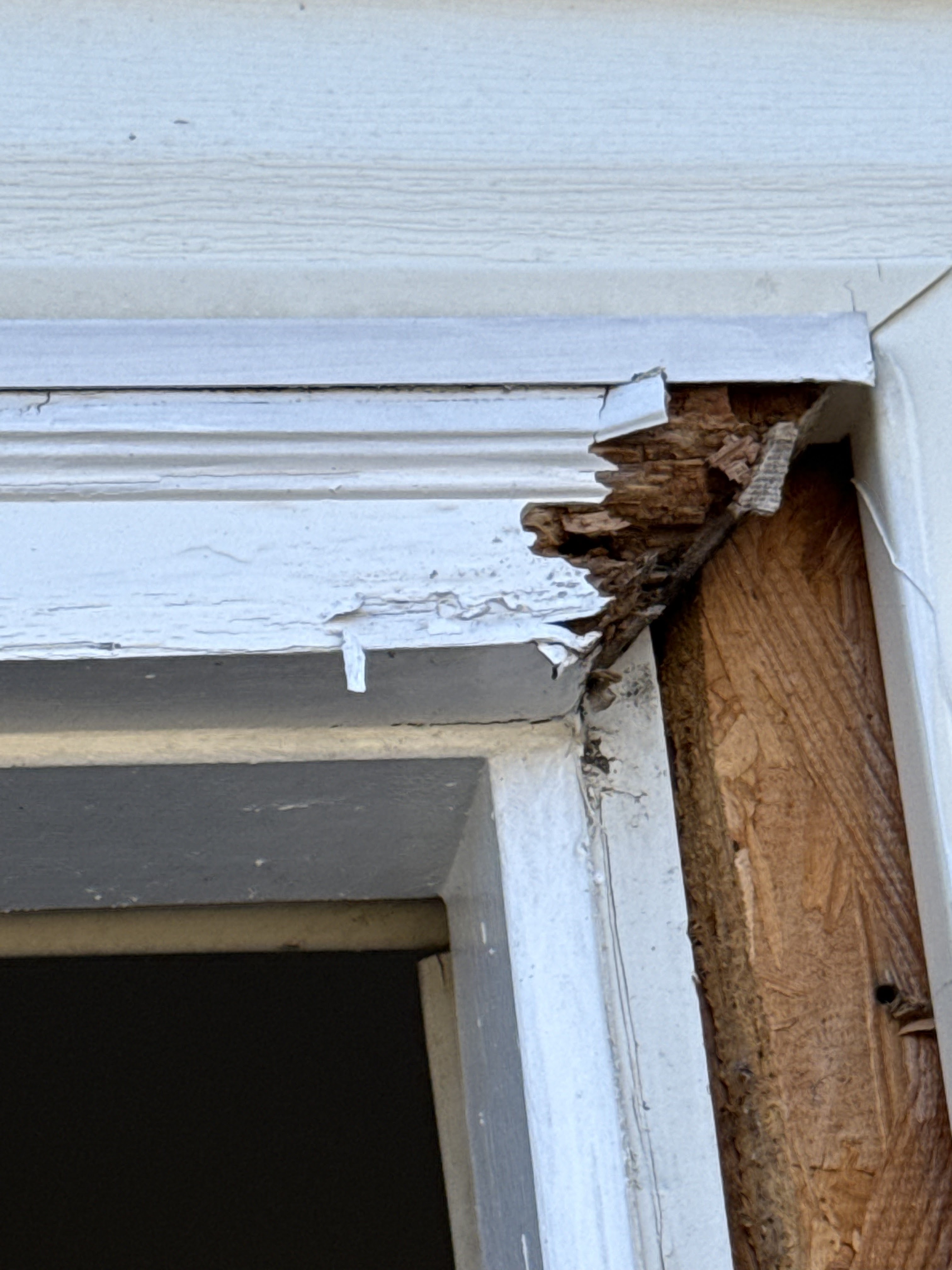 Water Damage Repair project